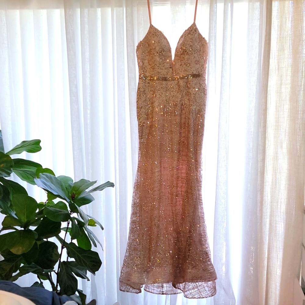 Stella Couture Formal Dress